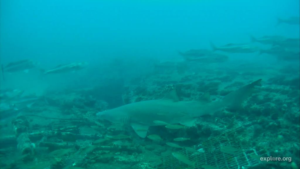 b8cd0e8c-59a8-4d58-bcd7-b8446b92957c