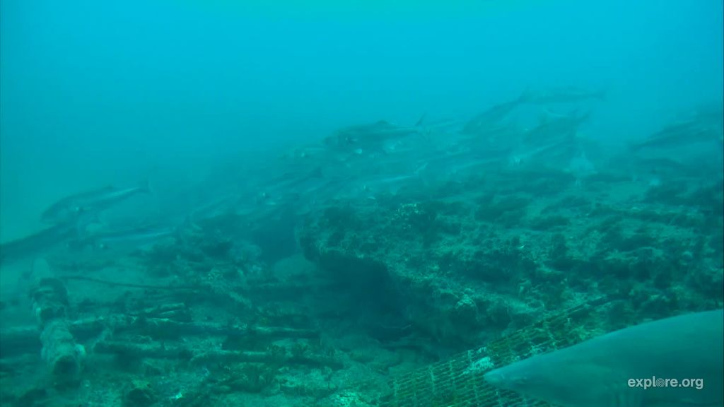 b8cd0e8c-59a8-4d58-bcd7-b8446b92957c