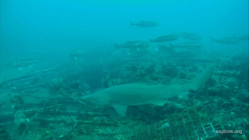 b8cd0e8c-59a8-4d58-bcd7-b8446b92957c