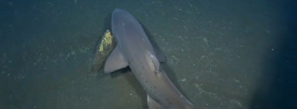 fe2fd7ca-af3c-4fc5-869a-6a09b9f5f2bd