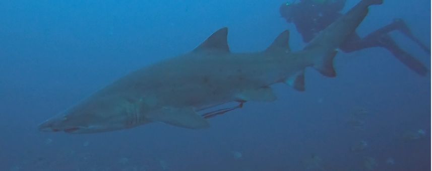 5239b106-82b1-4a63-8f4f-039b7b570825