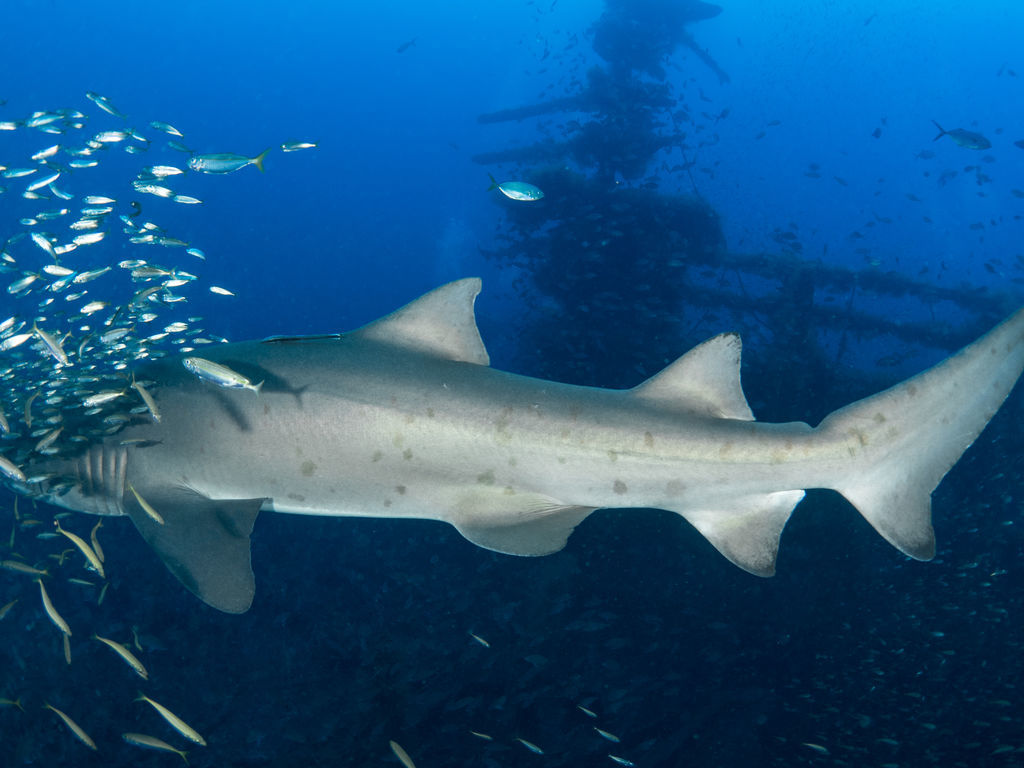 260ab69d-1380-4c6b-9d8a-3de9c824ee7b