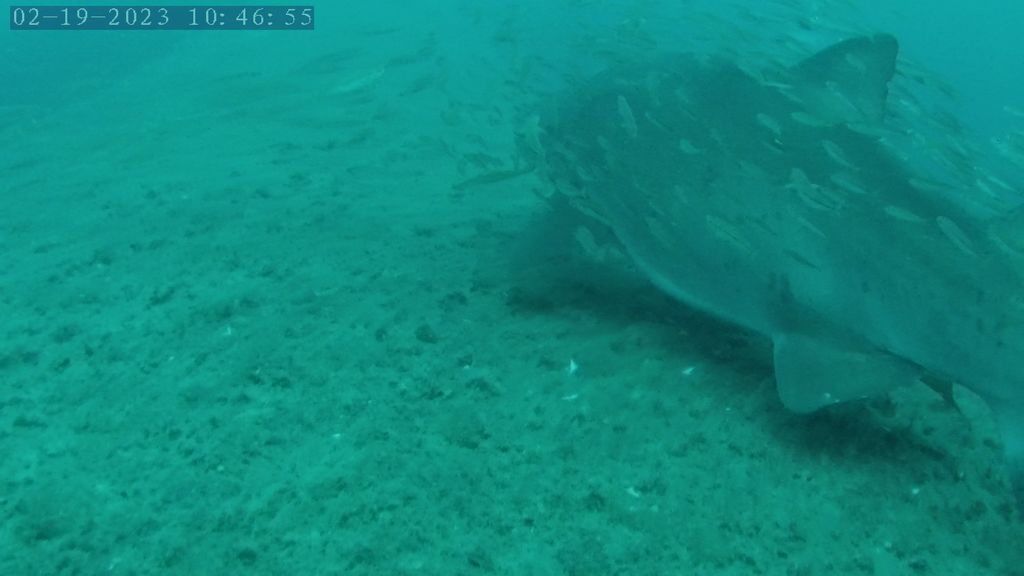 2fb313be-0001-4f3a-a050-b49de380cb3c