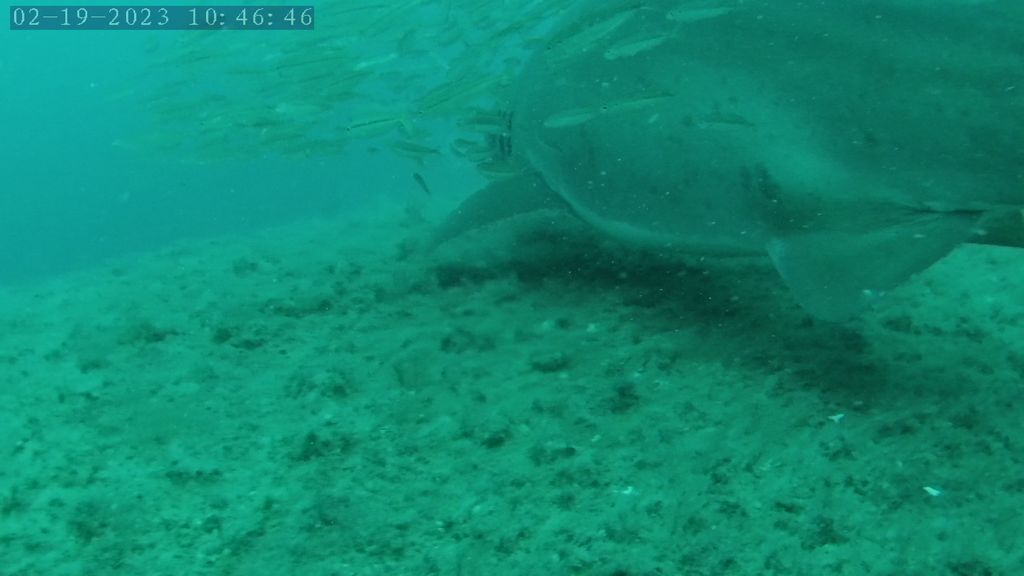 2fb313be-0001-4f3a-a050-b49de380cb3c