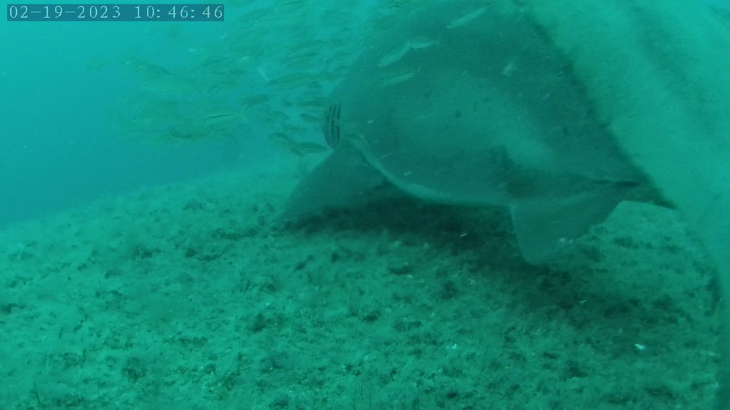 2fb313be-0001-4f3a-a050-b49de380cb3c