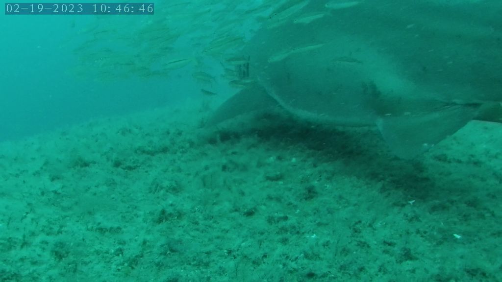 2fb313be-0001-4f3a-a050-b49de380cb3c