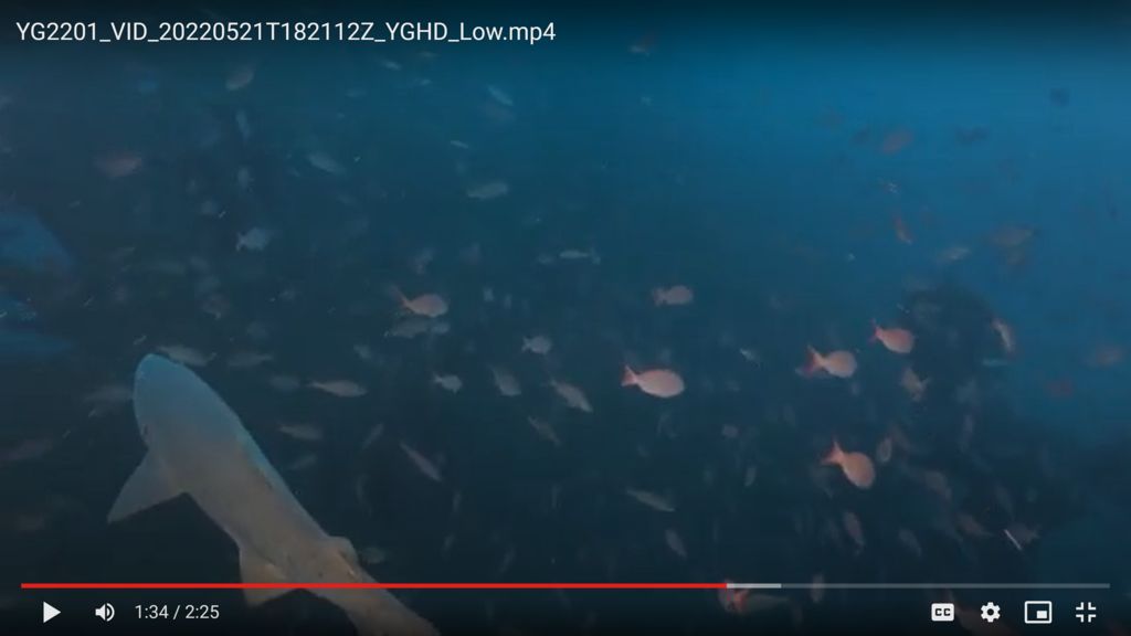 b28b096b-b381-4be1-a0fb-9c57a3e4be33