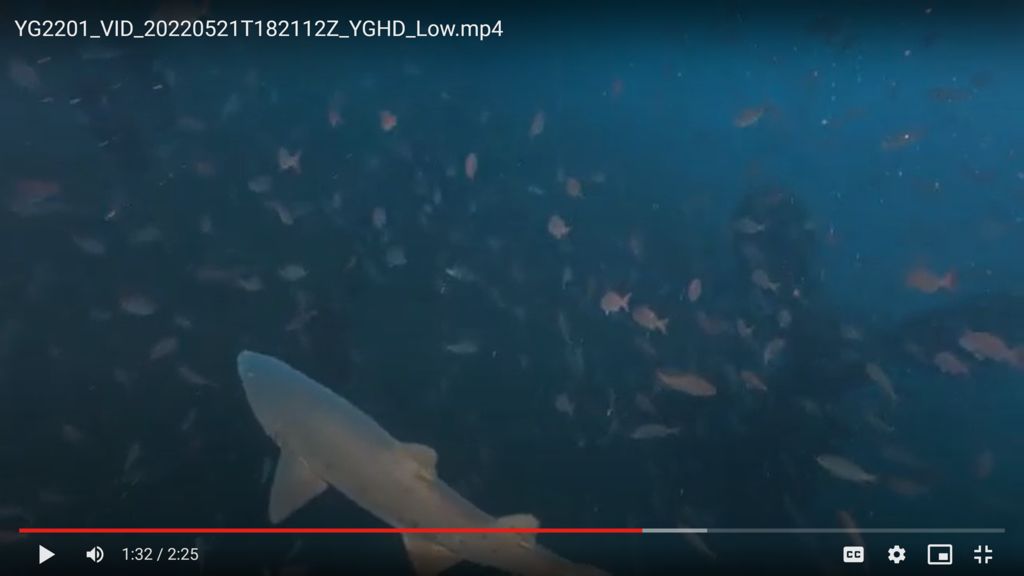 b28b096b-b381-4be1-a0fb-9c57a3e4be33