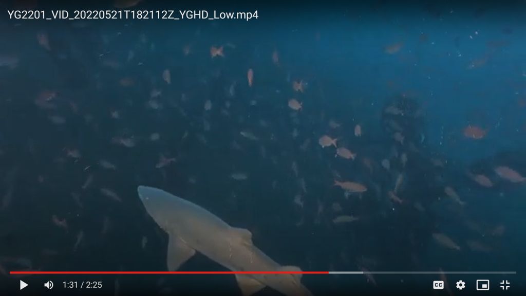 b28b096b-b381-4be1-a0fb-9c57a3e4be33