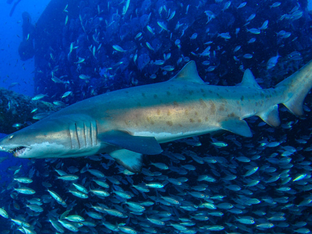 21231b25-9359-47dd-b61e-59ce54de0be3