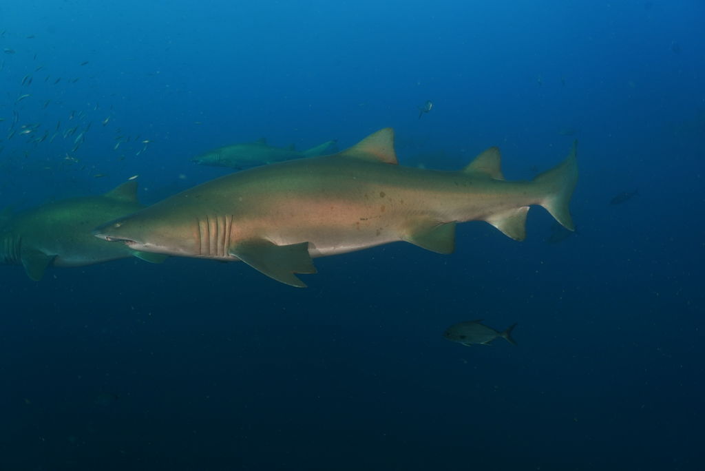 b90ff59a-b3e0-4c8d-8ce8-8981d710ea25