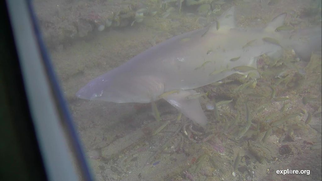 f5624b33-8ca4-4842-b351-c691ae5697e9