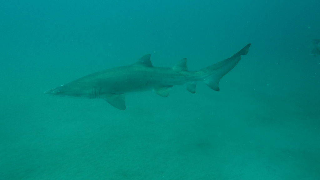 dec23342-f60f-46f3-a5b0-97eb6cd8ba54