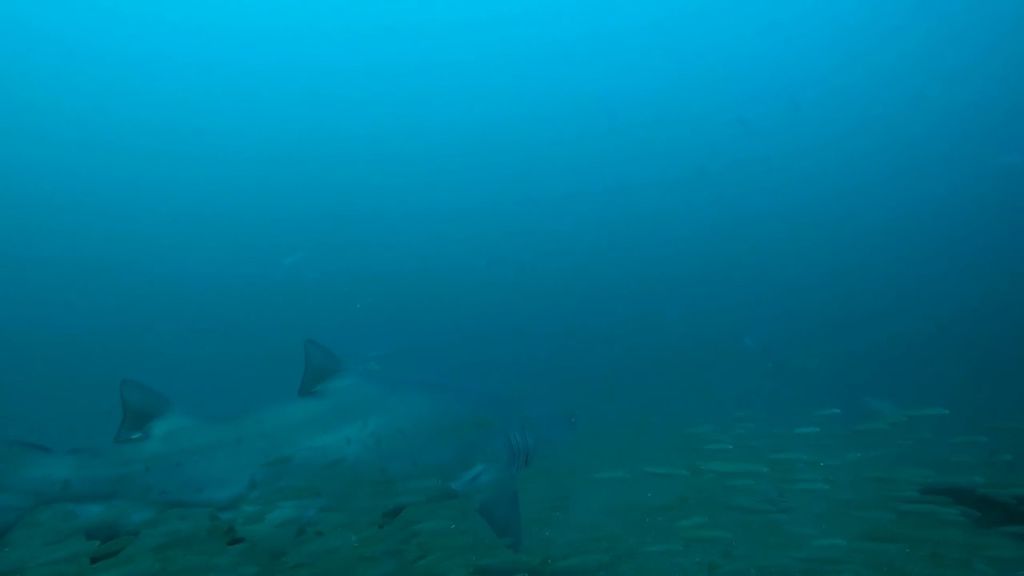 a0ea76df-cde7-4753-9052-39a38c842640