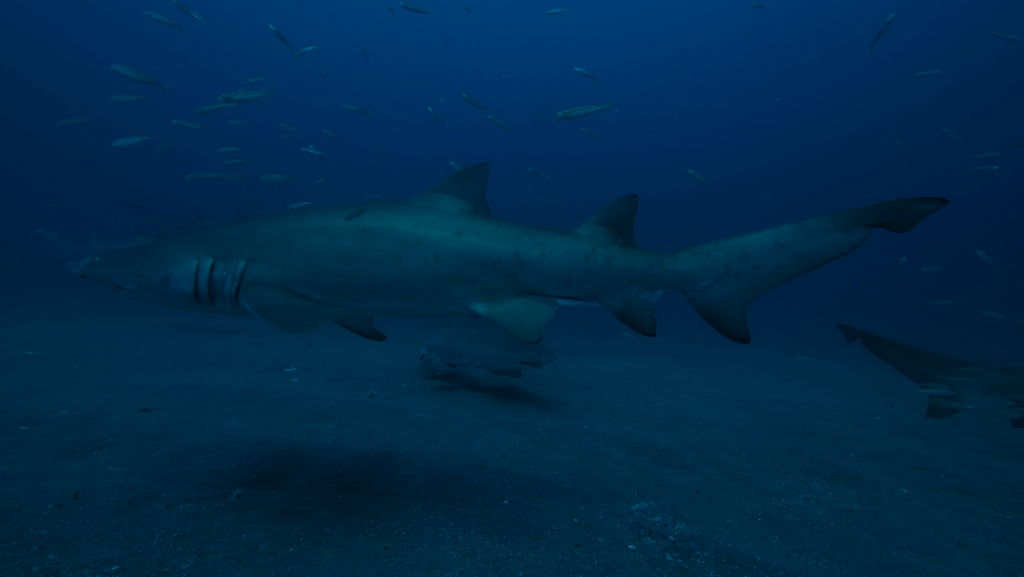 b984f737-ab53-49ff-aaeb-59ee6d846bed