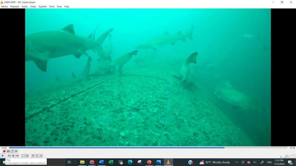 ae6194f5-fa4f-4ff1-8bbd-a49d110953a8