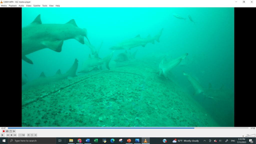 ae6194f5-fa4f-4ff1-8bbd-a49d110953a8