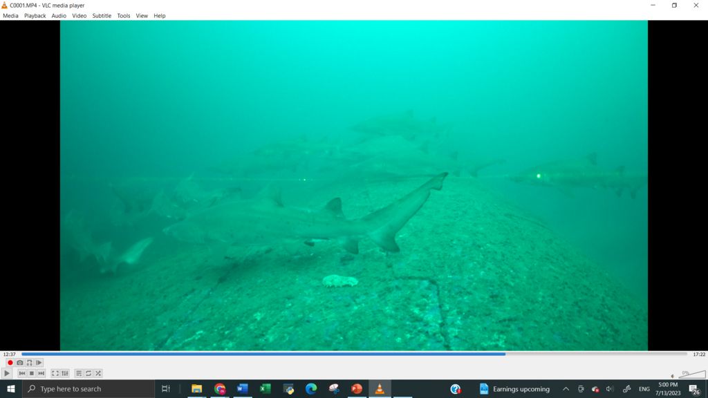 550c8725-9759-4609-b41d-6169c673996c