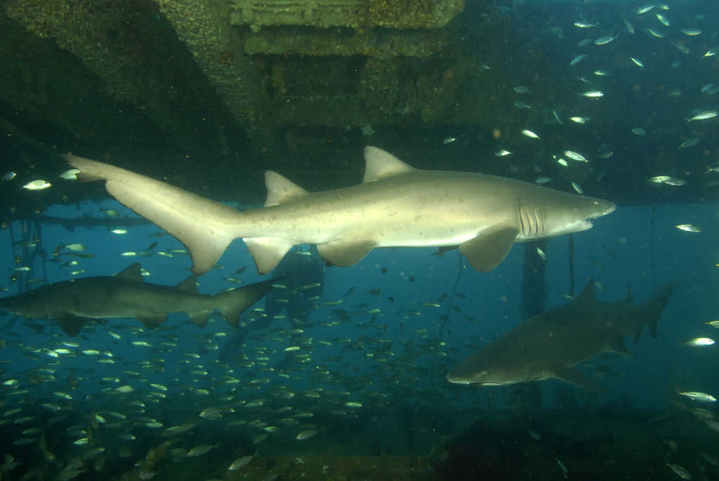 630b9599-ecda-4532-ac6e-fee625462725