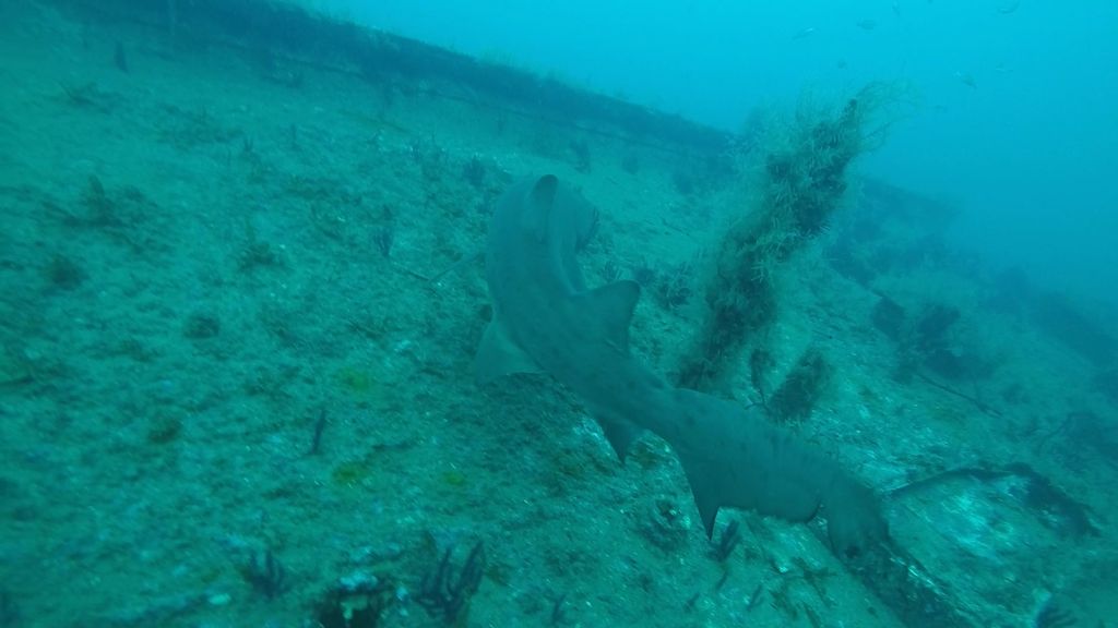 6e52d659-7c60-4184-b6ce-2e1b172423fa