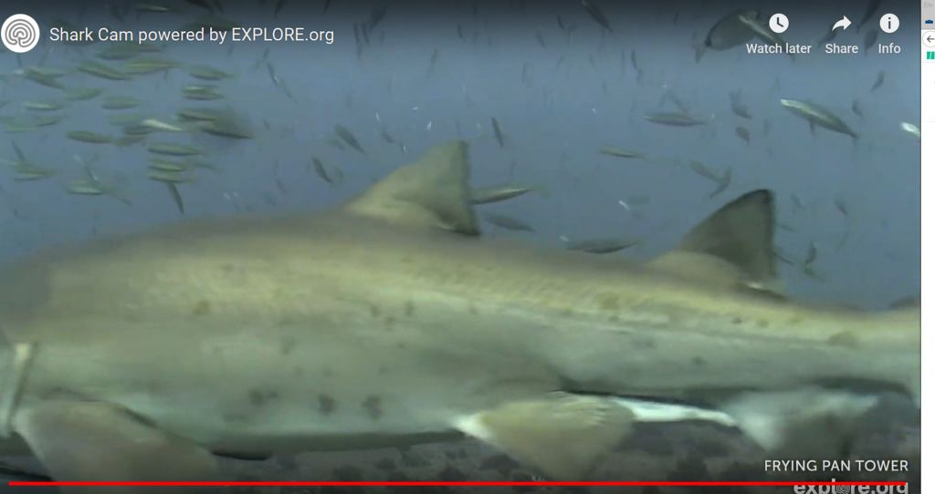 6a2d47f9-5660-4cf6-8048-d9c886842e99