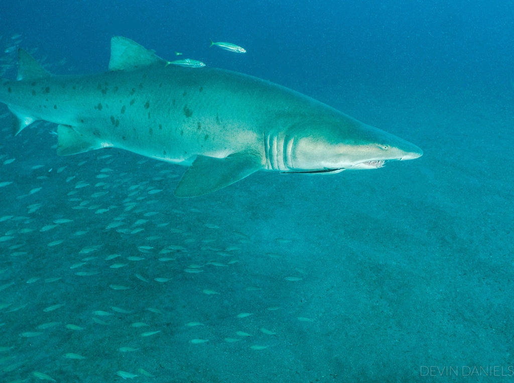 2b23b09f-3527-448c-89f5-c37f3bb30d5e