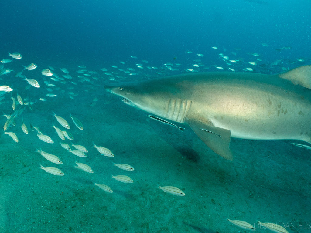 2b23b09f-3527-448c-89f5-c37f3bb30d5e