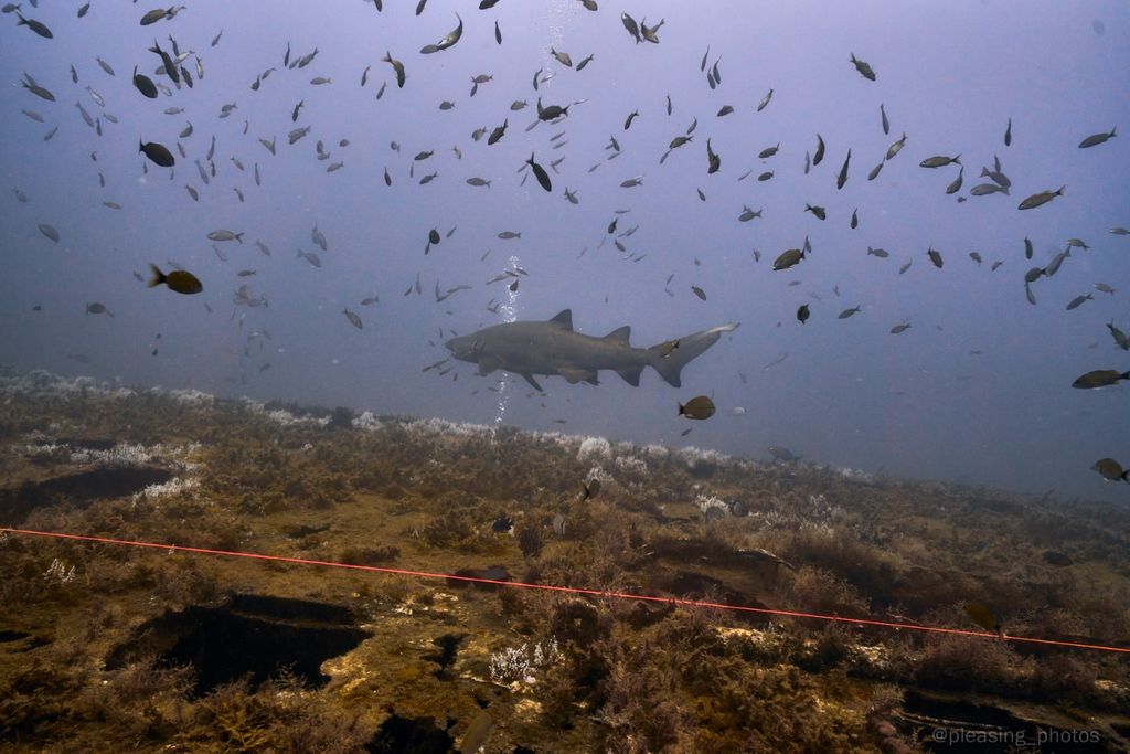 a1507faa-b83b-4e1c-986d-02dfef82ff2f