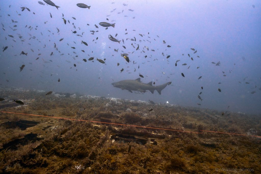 a1507faa-b83b-4e1c-986d-02dfef82ff2f