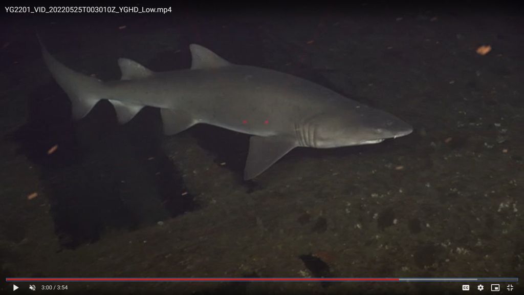 43a1a0c2-7675-42b5-8863-cb608e2bd49f