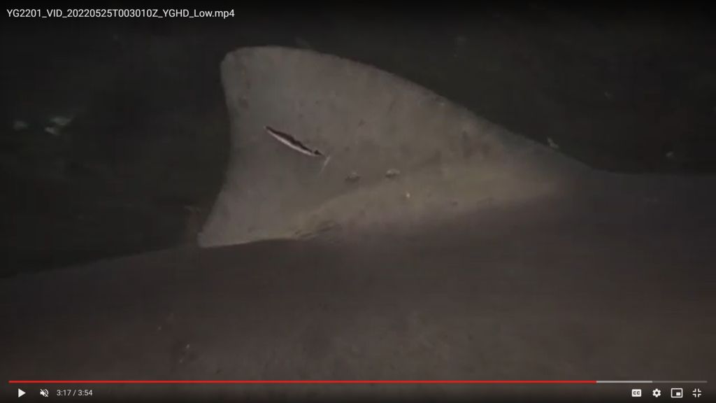 43a1a0c2-7675-42b5-8863-cb608e2bd49f