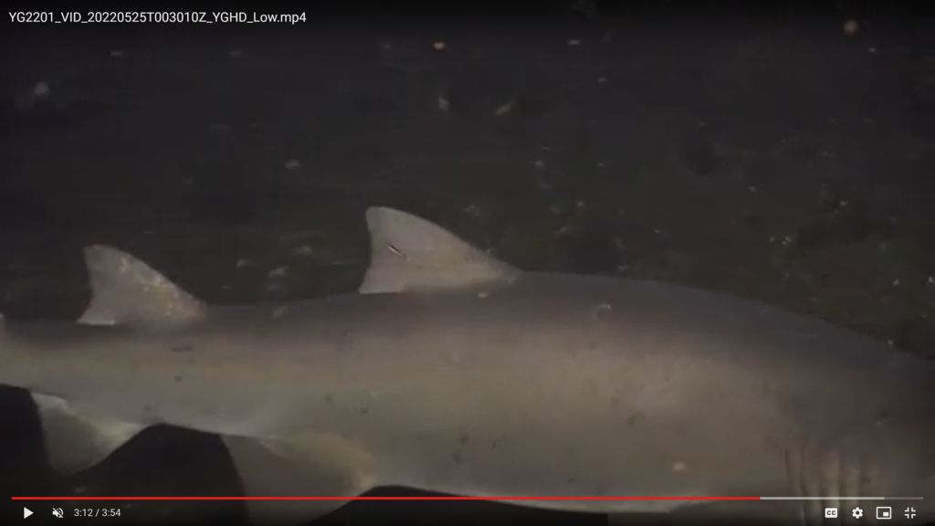 43a1a0c2-7675-42b5-8863-cb608e2bd49f