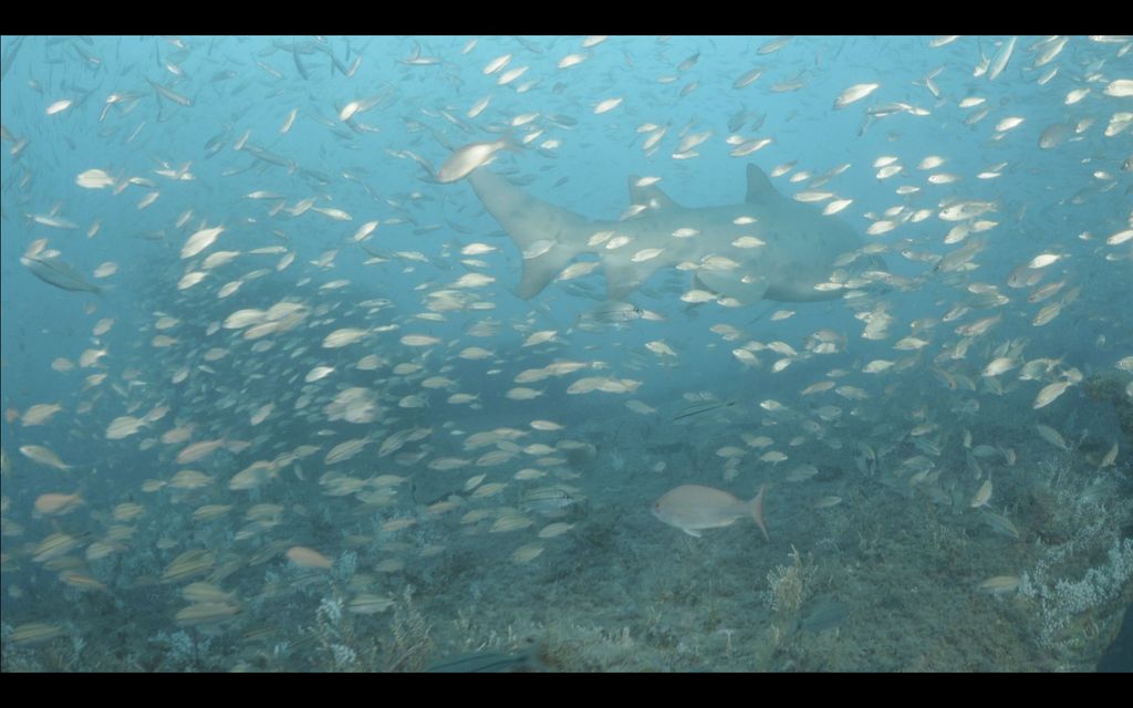 d6a4a3dc-4d09-46b6-afd5-24ae9d7c17e1