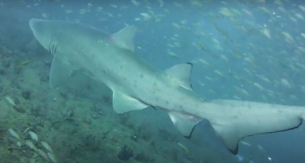 9b903b2a-d6bf-4d74-9327-c6abcb94b15c