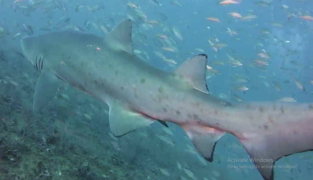 9b903b2a-d6bf-4d74-9327-c6abcb94b15c