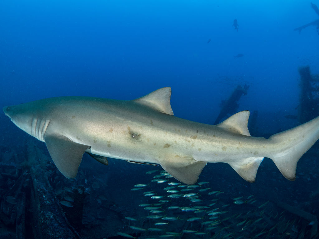 dbab570e-aee7-4fe1-975c-ddca0210a92f