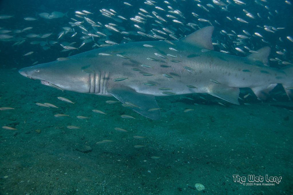 85e78836-3b3a-4f9c-8fa2-444234f6465f