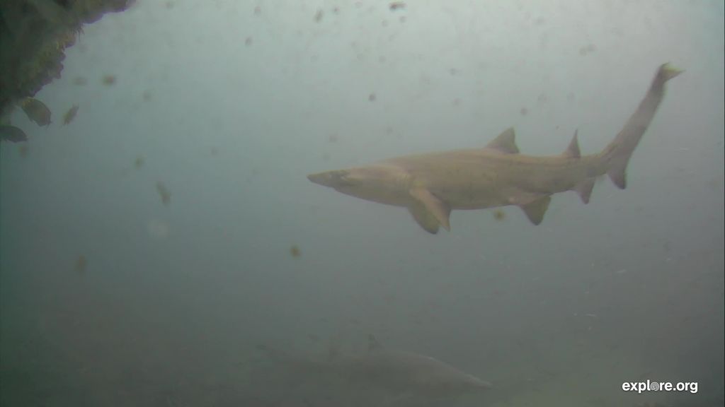 c871ff20-ef84-4fc9-a1e3-9adaf2e63f4b