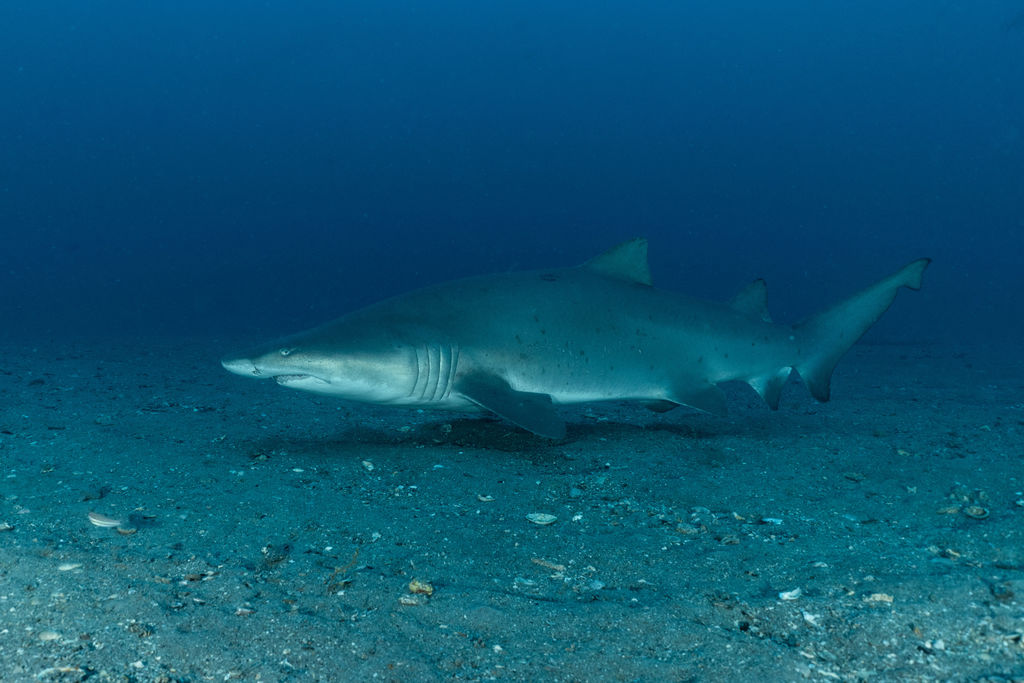 5673ea5e-771f-4af7-a31e-bf6e6e365ef3