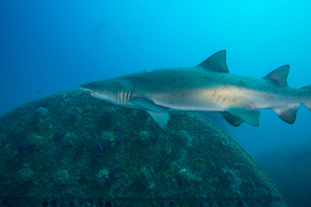 14895d25-5dc9-4154-b50e-82741479c298