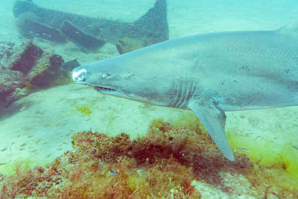 7cc6ab07-1a0b-4653-9148-79739bcee949