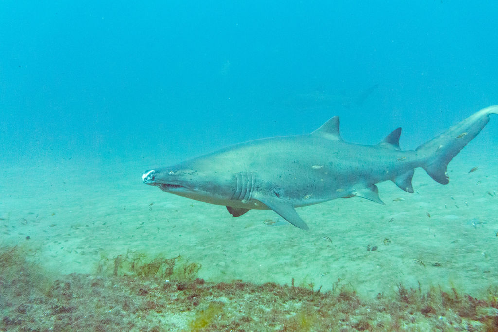 7cc6ab07-1a0b-4653-9148-79739bcee949