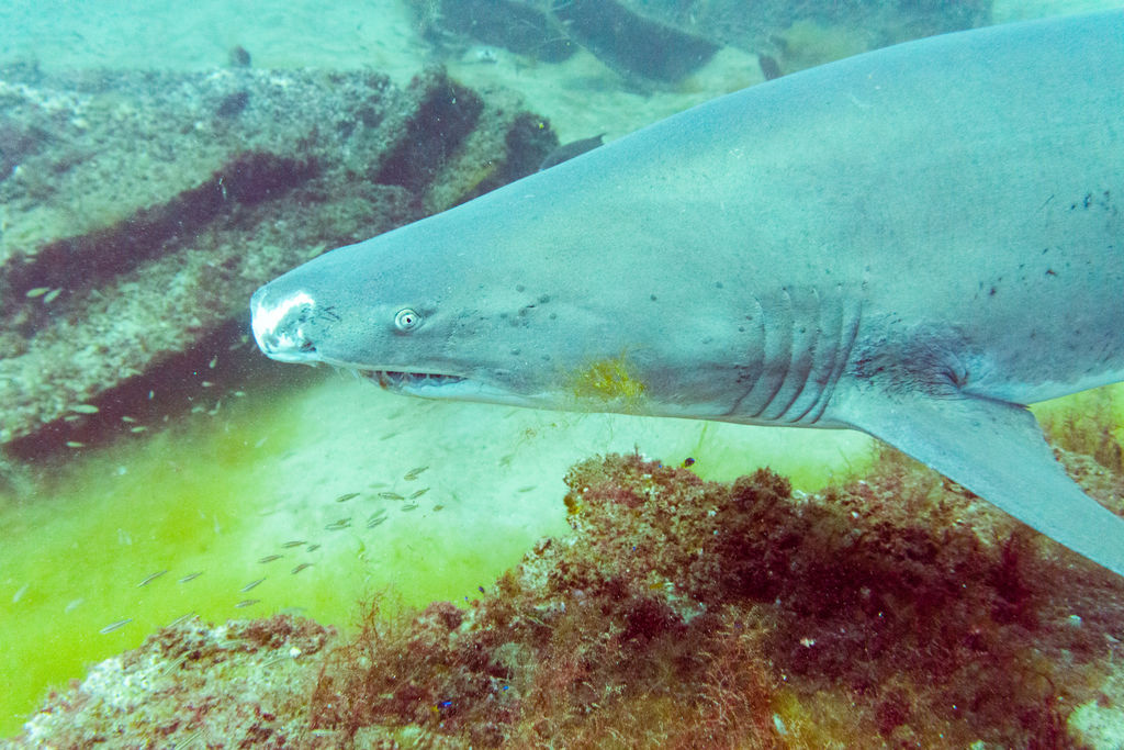 7cc6ab07-1a0b-4653-9148-79739bcee949