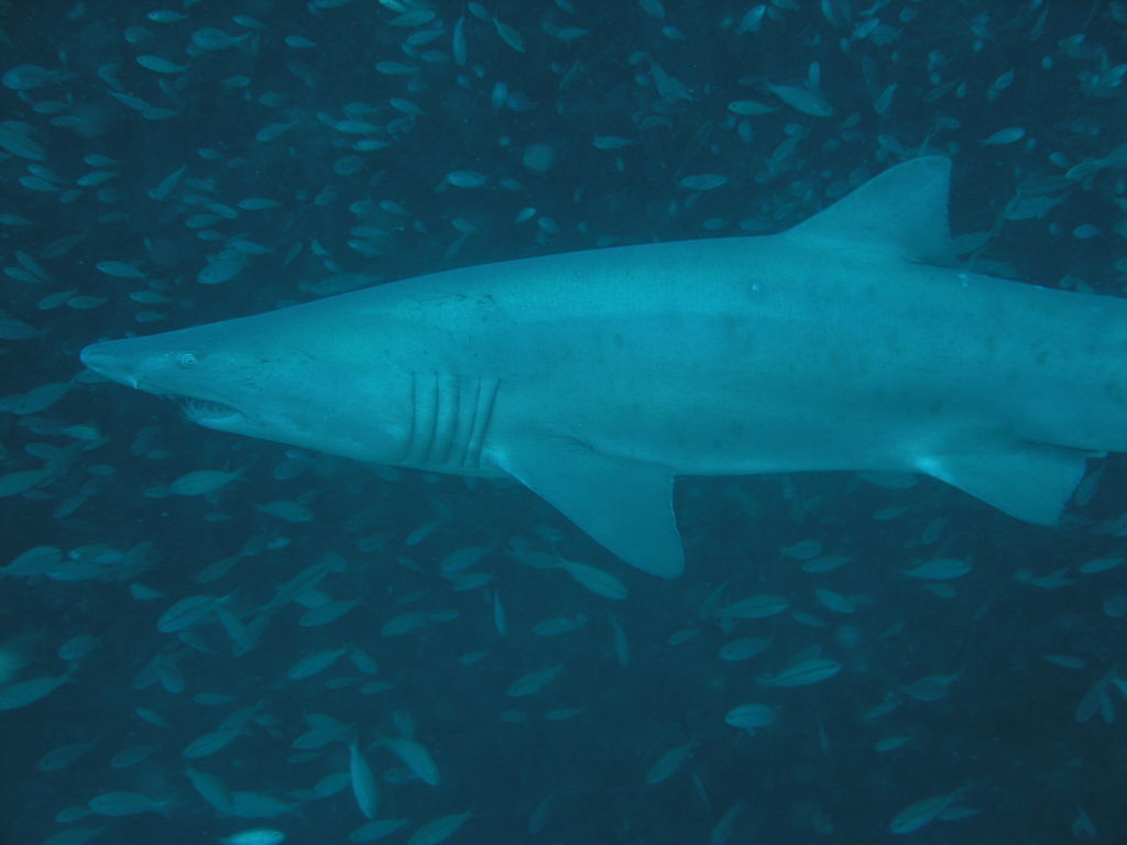 1720ac08-1ef6-4ba2-9bc1-d6acc25d3860