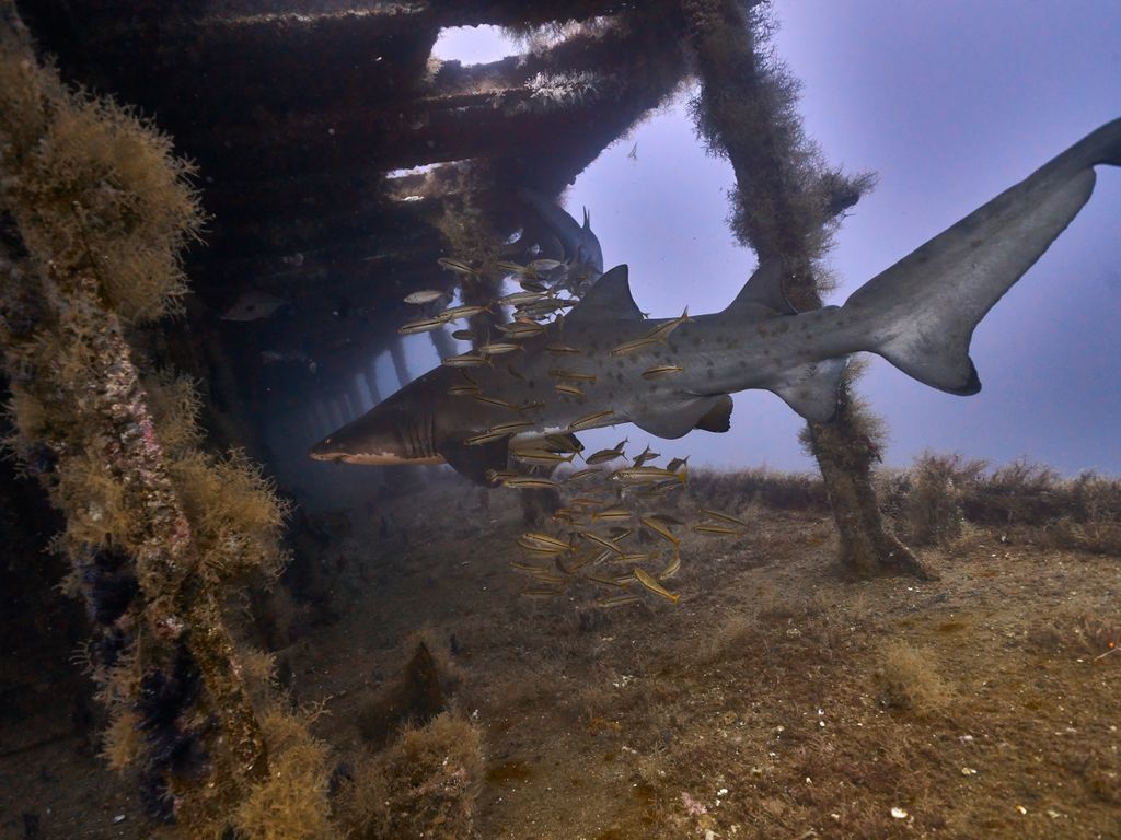 c5e50036-3573-47c4-9378-82467aa0445c