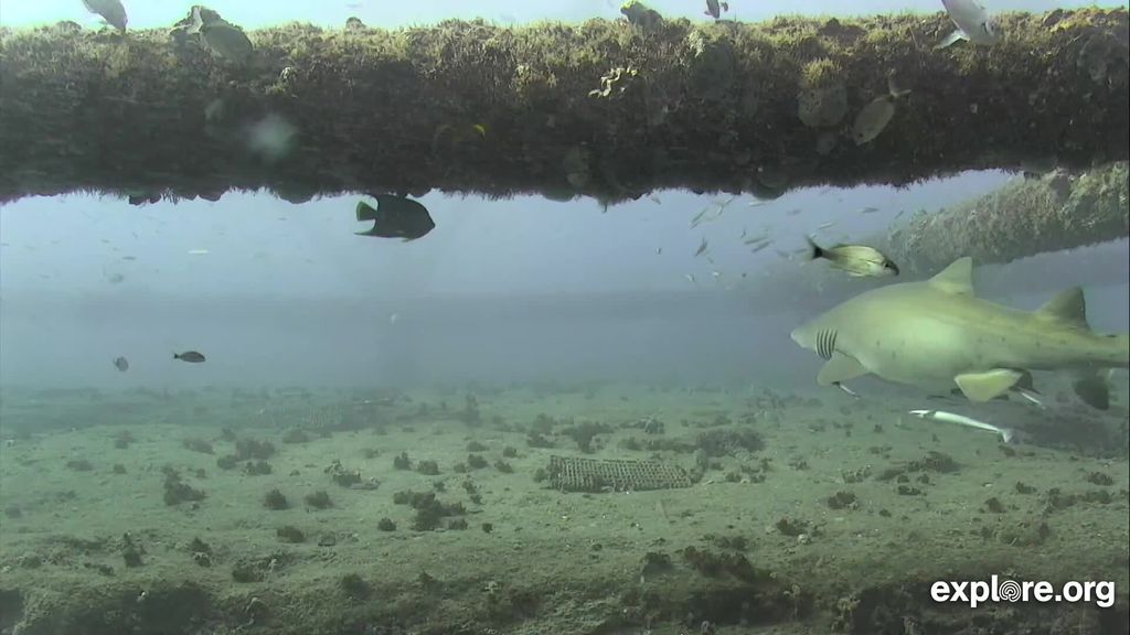 4105e306-b31f-4772-ad10-ba949726f565