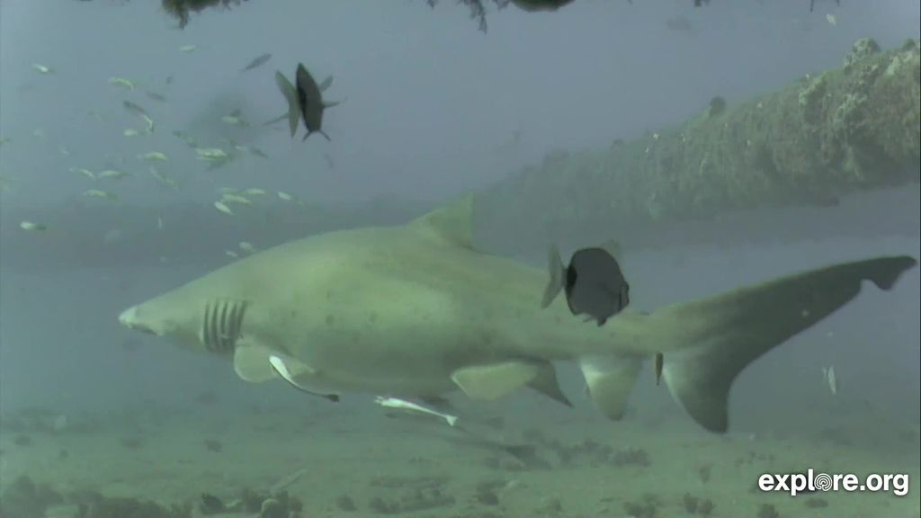 4105e306-b31f-4772-ad10-ba949726f565