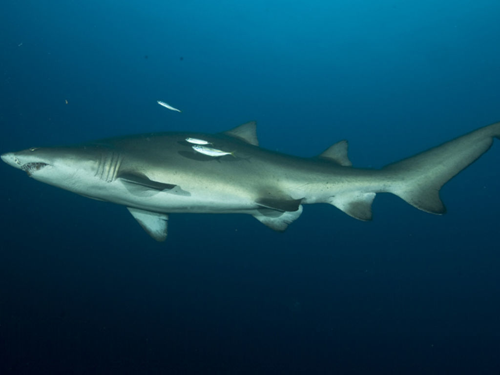 86c08a52-2f42-4cc2-b2c6-7980c94cfcd6