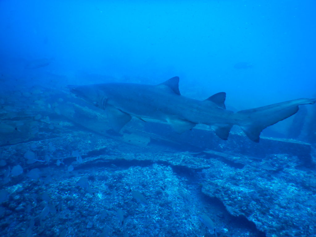 1980c769-0d7e-4aa0-b048-1e3e40d05e64