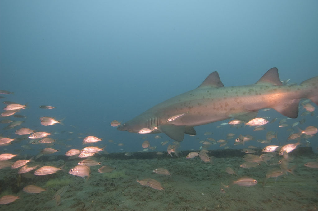 d696eb78-2d30-4250-85e1-285d8ff3786a